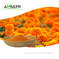 Pure natural marigold flower extract lutein powder